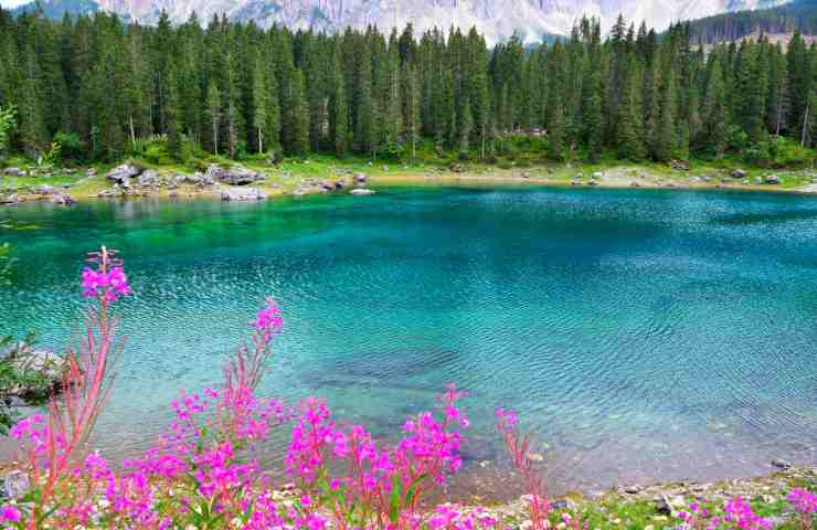 A rendere suggestivo il lago di Carezza è il suo colore arcobaleno