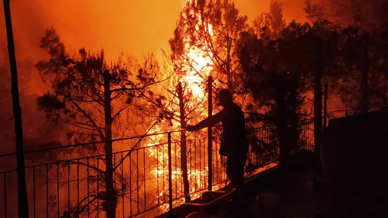 fiamme incendi palermo